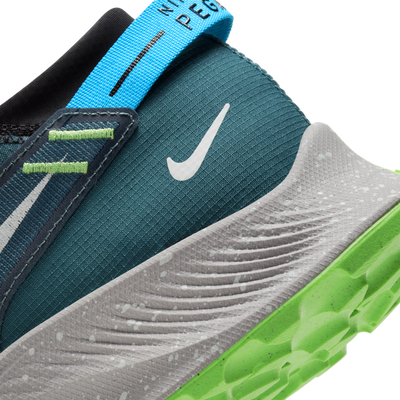 Men's Nike Pegasus Trail 2 CK4305-300